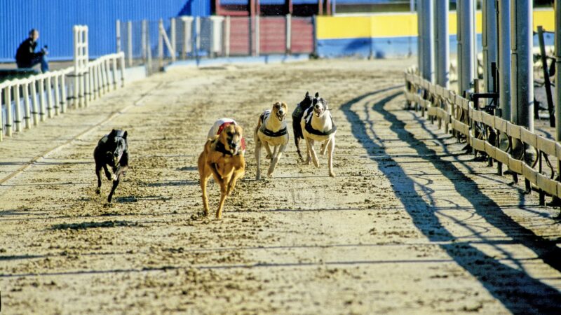 Ça s’est passé un… 22 février