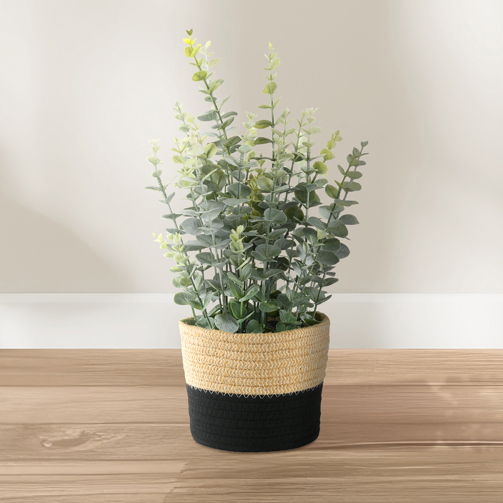 Eucalyptus artificiel
